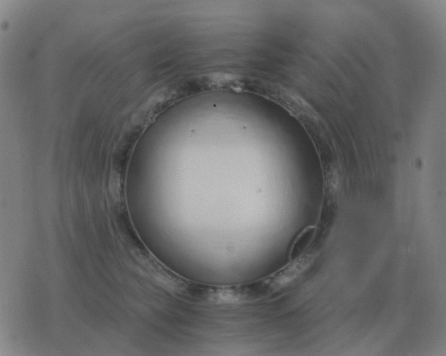 X0000076390565200610202107