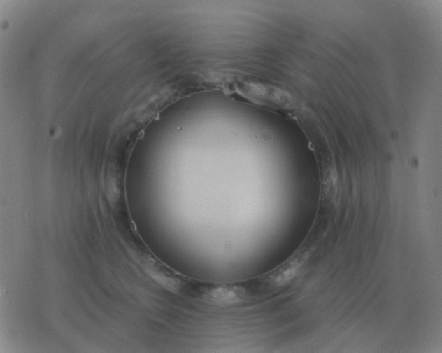 X0000076390566200610202107