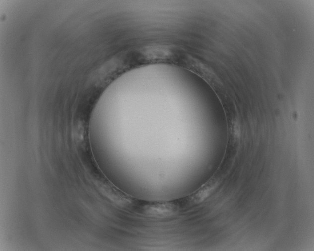 X0000076390567200610202107