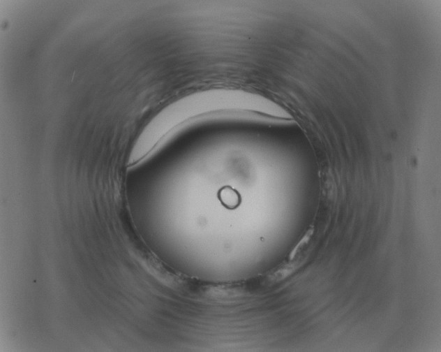 X0000076390568200610202107