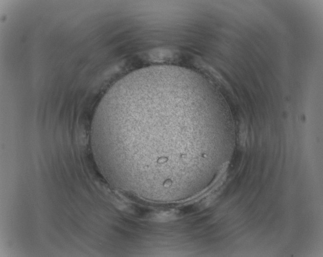 X0000076390569200610202107