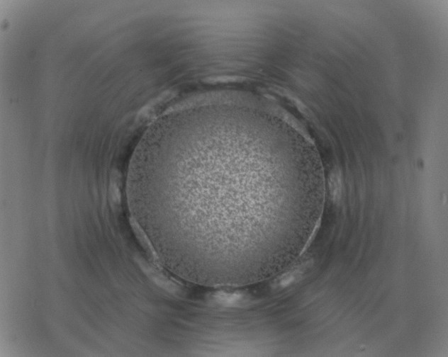 X0000076390570200610202107