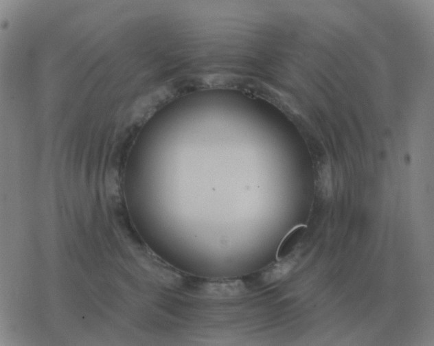 X0000076390571200610202107