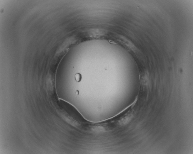 X0000076390572200610202107