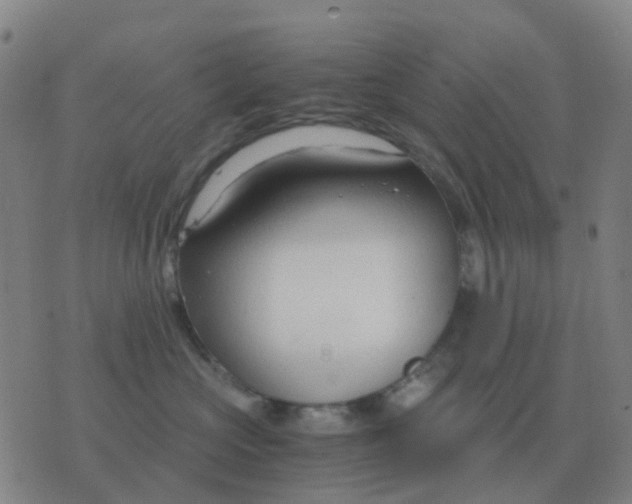 X0000076390573200610202107