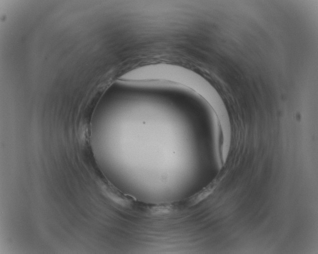 X0000076390574200610202107