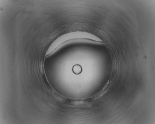 X0000076390575200610202107