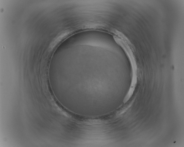 X0000076390577200610202106