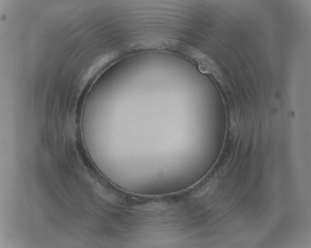 X0000076390578200610202106