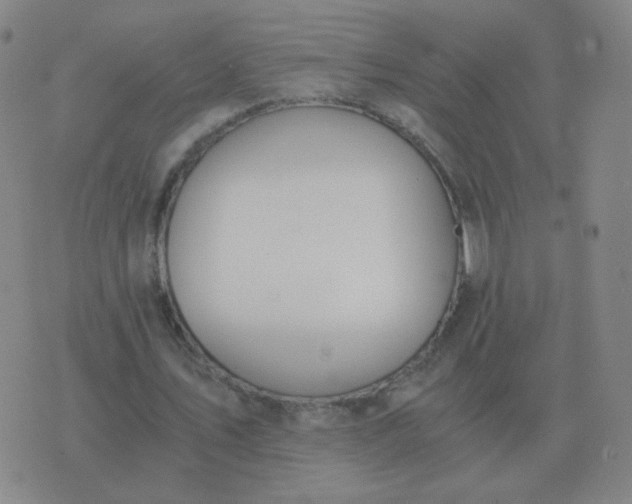 X0000076390579200610202106