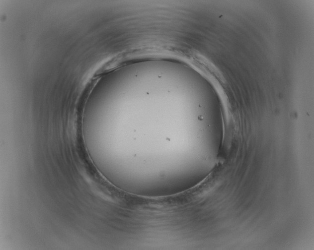 X0000076390580200610202106