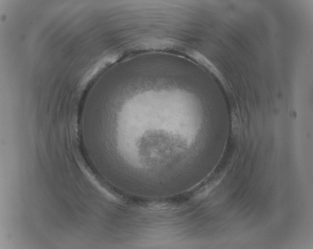 X0000076390581200610202106