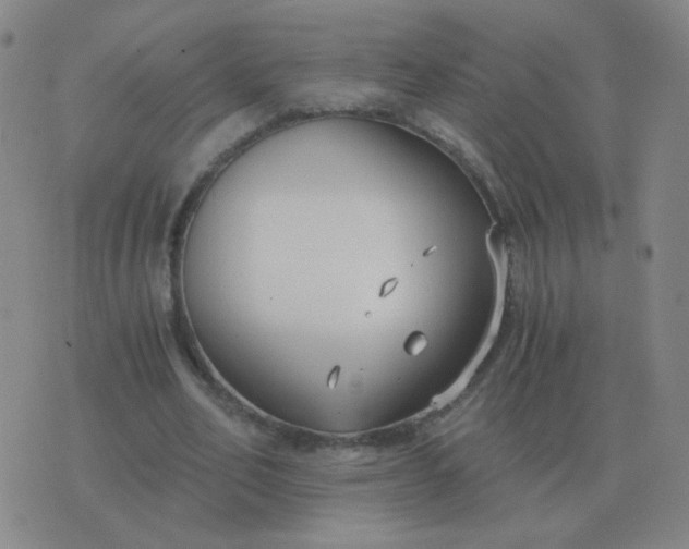 X0000076390582200610202106