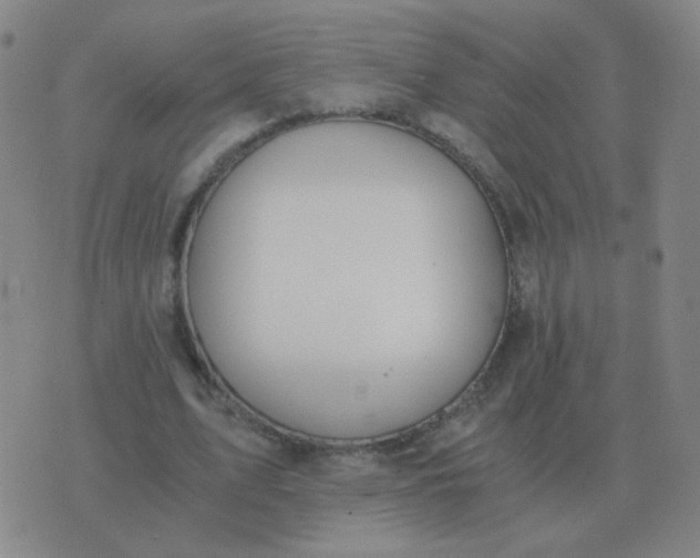 X0000076390583200610202106