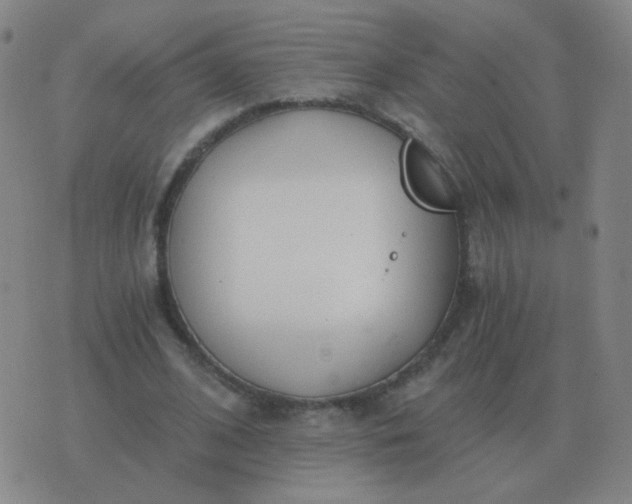 X0000076390584200610202106