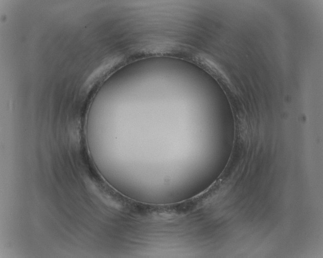 X0000076390586200610202106