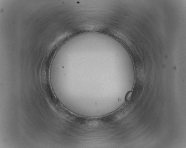 X0000076390587200610202106