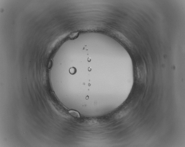 X0000076390588200610202106