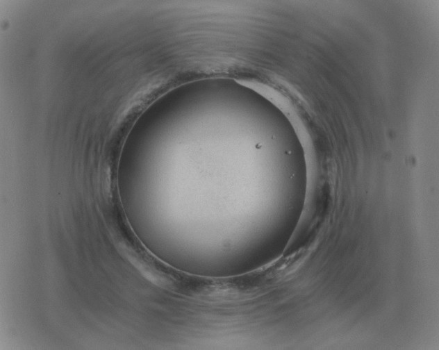 X0000076390589200610202106