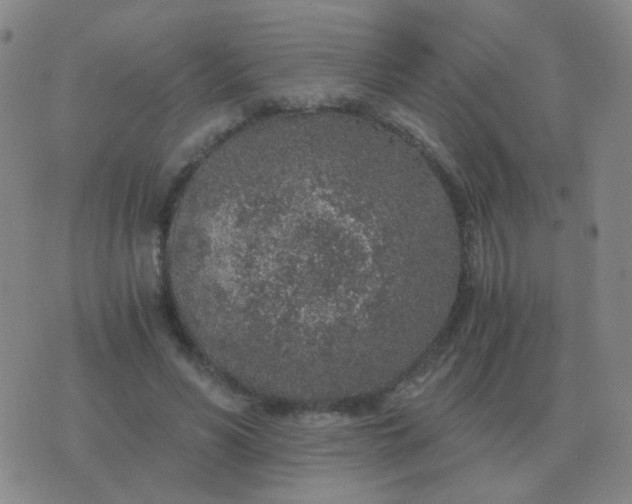 X0000076390590200610202106