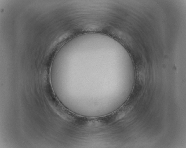 X0000076390591200610202106