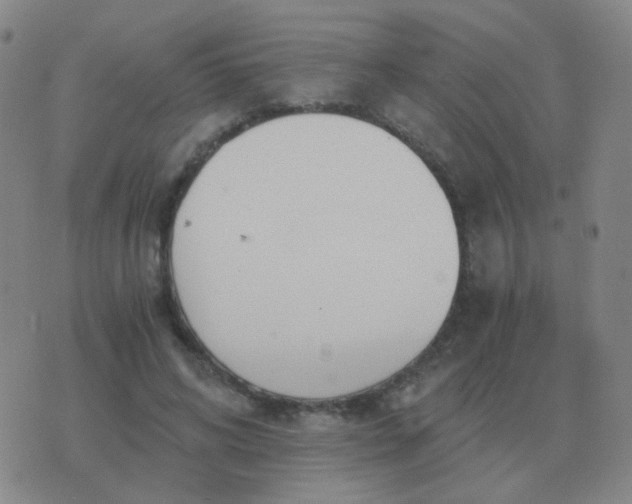 X0000076390592200610202106