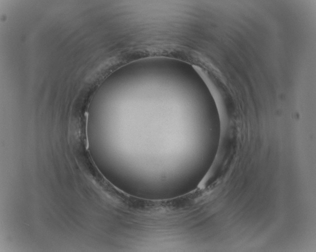 X0000076390593200610202106