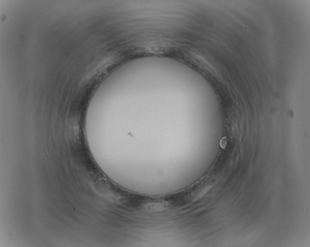 X0000076390595200610202106