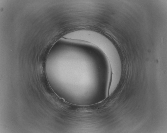 X0000076390597200610202106