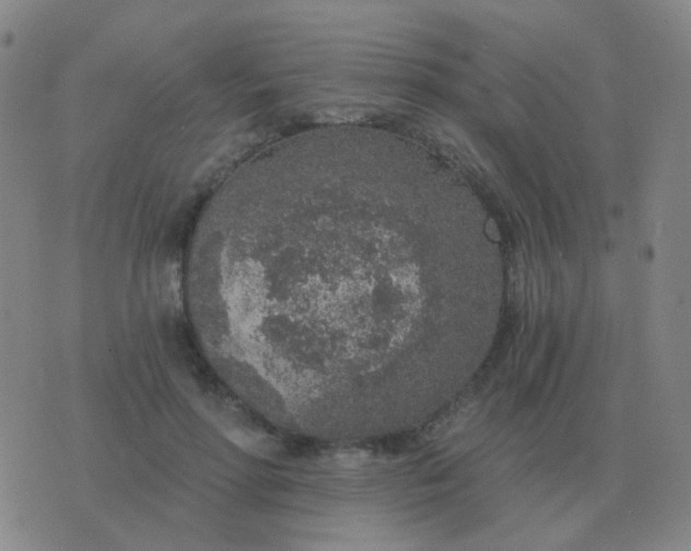 X0000076390598200610202106