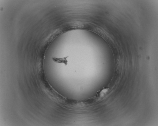 X0000076390600200610202106