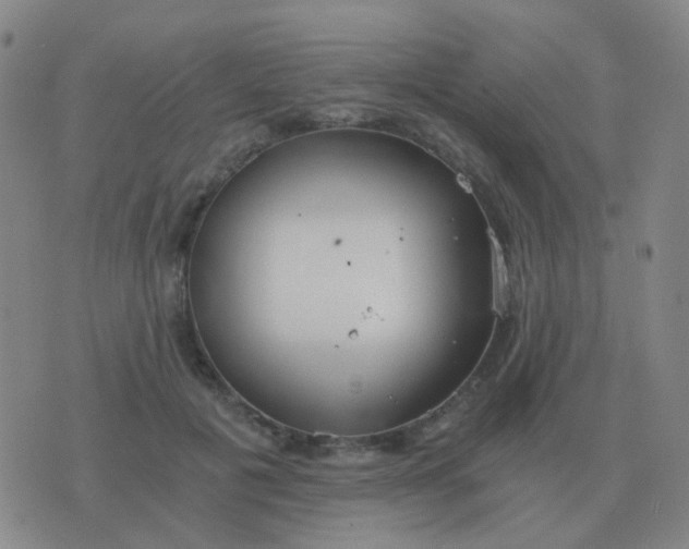 X0000076390601200610202106