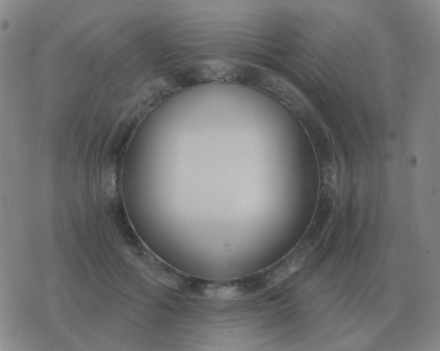 X0000076390602200610202106