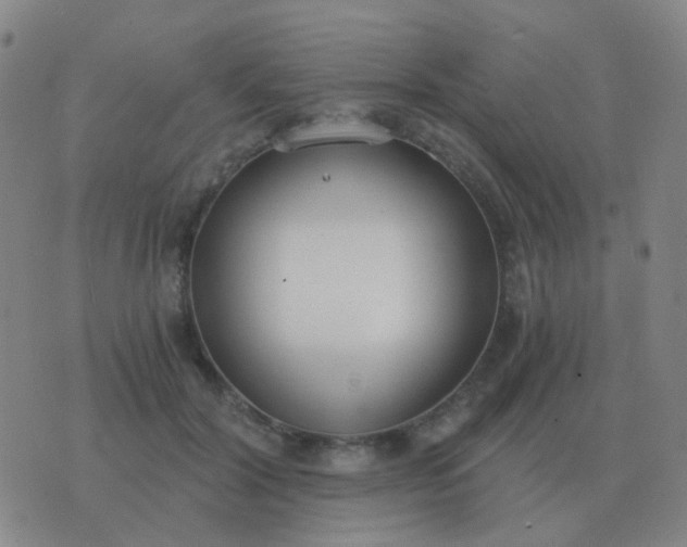 X0000076390604200610202106