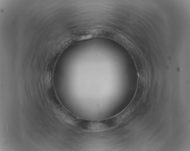 X0000076390605200610202106