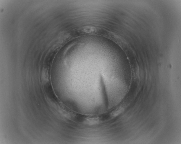 X0000076390606200610202106