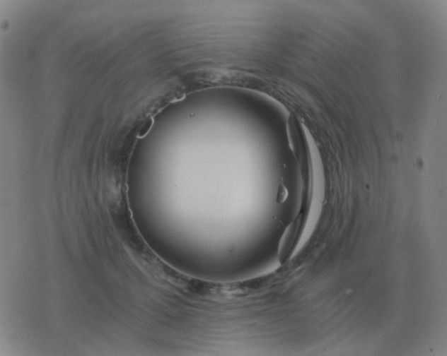 X0000076390607200610202106