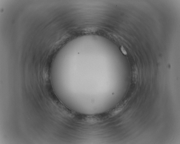 X0000076390608200610202106