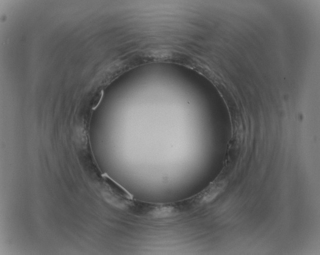 X0000076390609200610202106