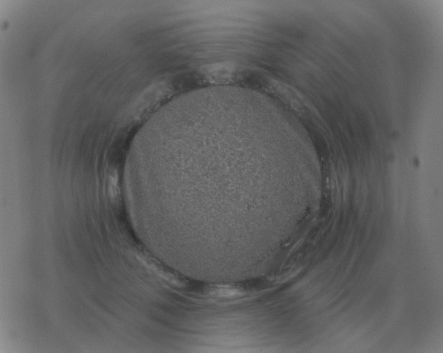 X0000076390610200610202106