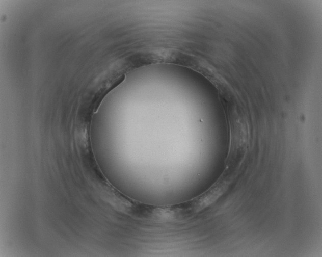 X0000076390613200610202106