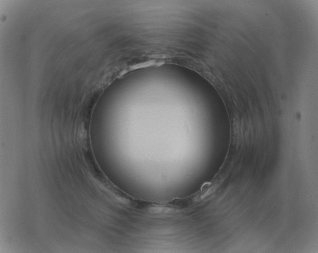 X0000076390614200610202106