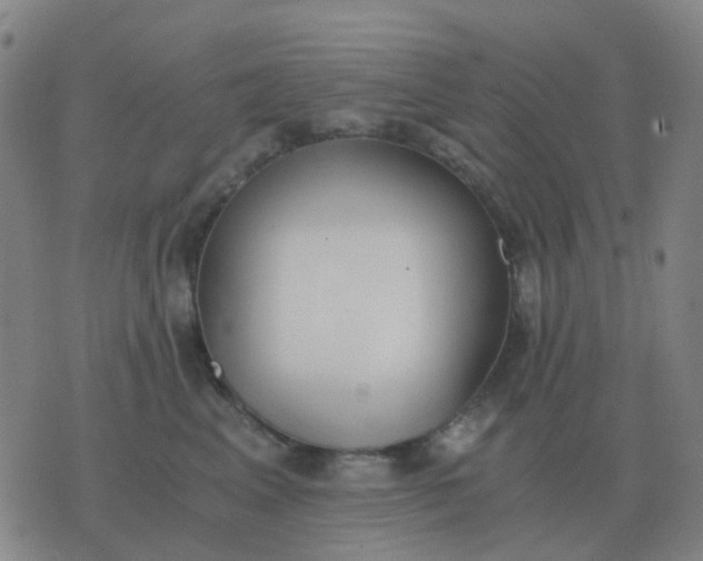 X0000076390617200610202106