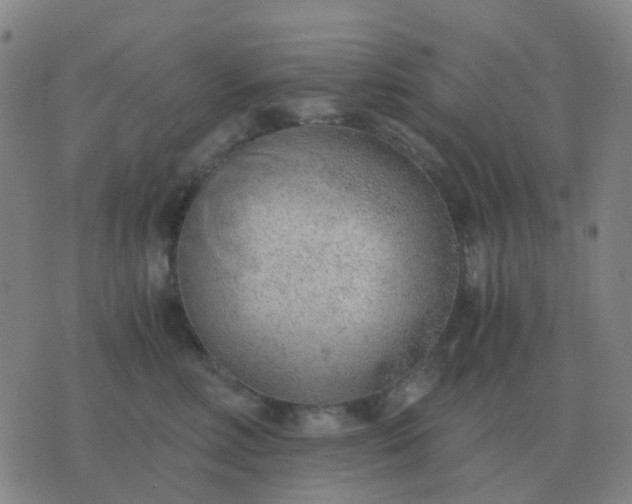 X0000076390618200610202106