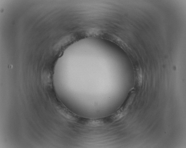 X0000076390619200610202106