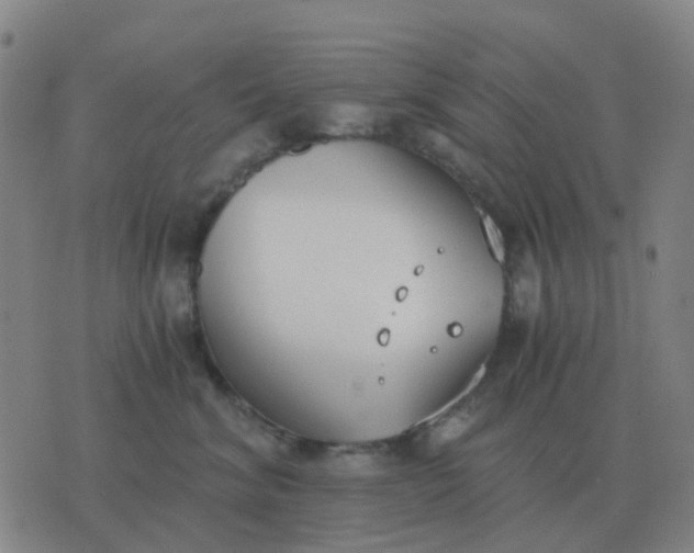 X0000076390620200610202106