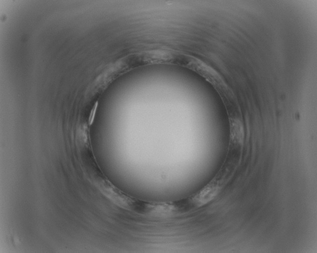 X0000076390621200610202106