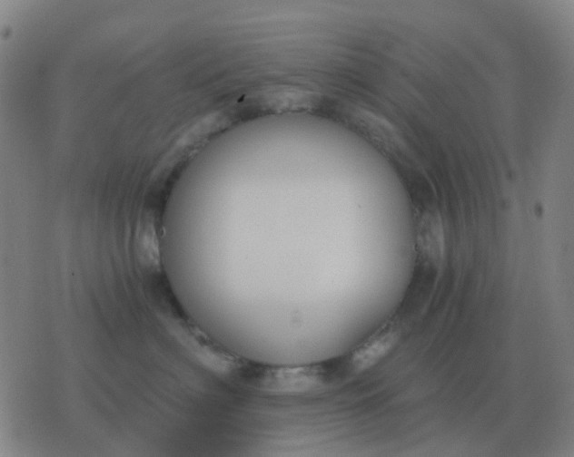 X0000076390622200610202106