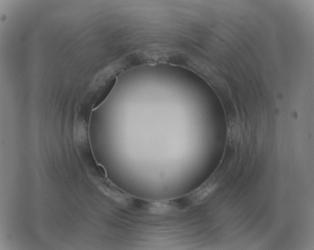 X0000076390623200610202106