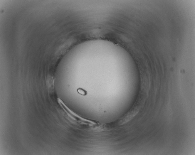 X0000076390624200610202106